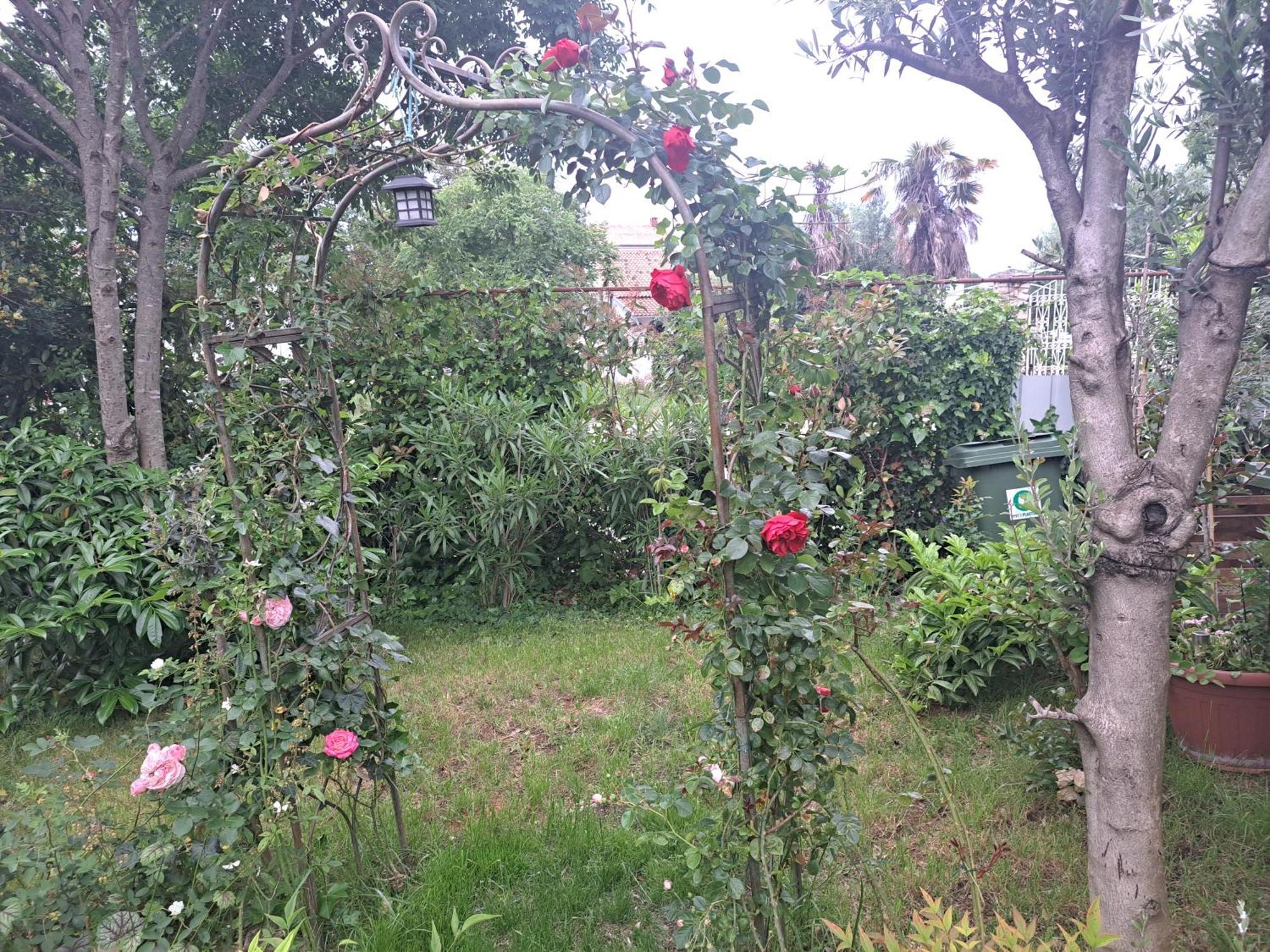 Apartmani Donna Poreč Exteriör bild