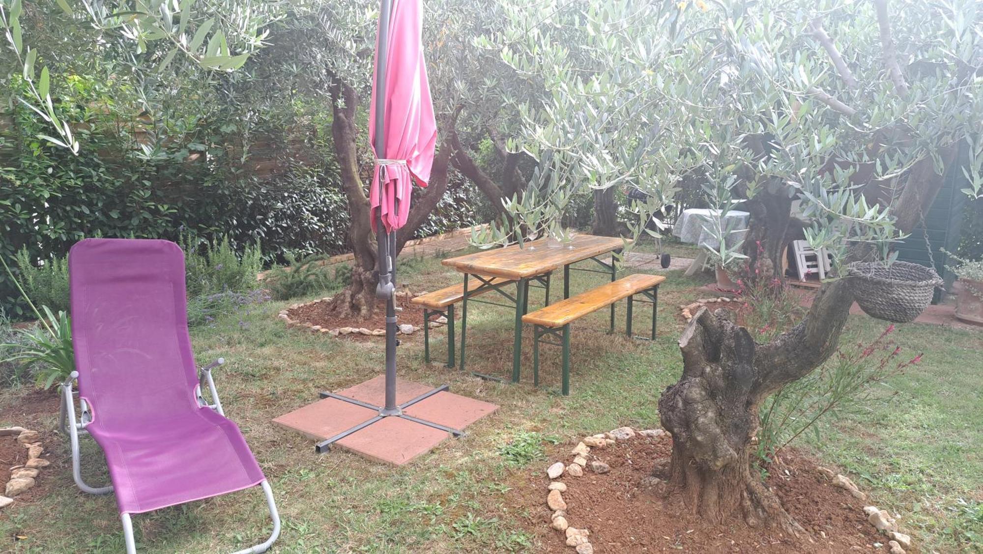 Apartmani Donna Poreč Exteriör bild