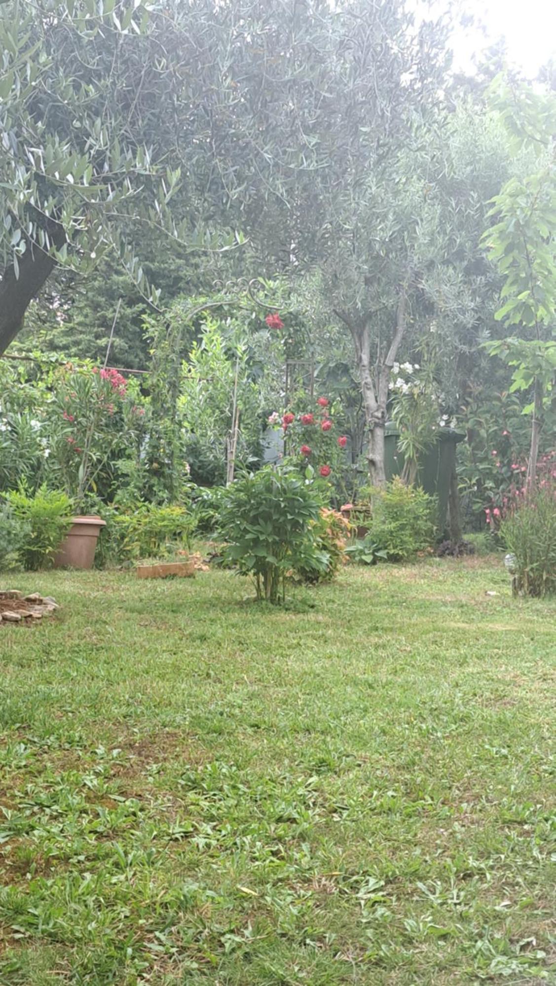 Apartmani Donna Poreč Exteriör bild
