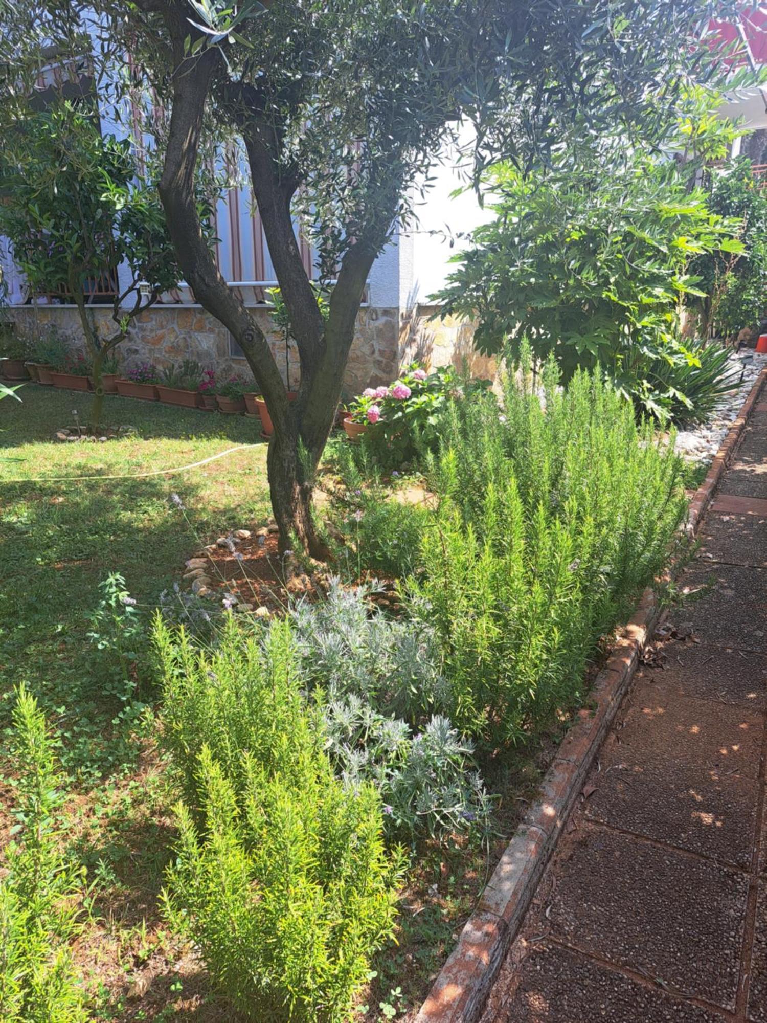 Apartmani Donna Poreč Exteriör bild